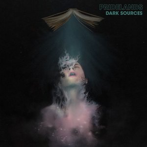 Image for 'Dark Sources'