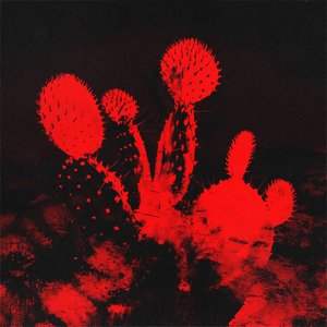 “Fake Nice (feat. Kevin Kaarl)”的封面