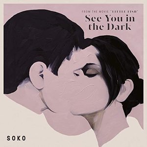 'See You in the Dark (From "Little Fish" Soundtrack)' için resim