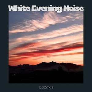 Image for 'White Evening Noise'