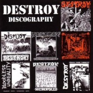 “Discography”的封面