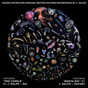 Image for 'Racing Extinction (Original Motion Picture Soundtrack)'
