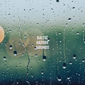 Изображение для 'Rain Sounds Vol. 2'