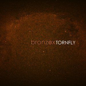 Image for 'Bronze Ox'