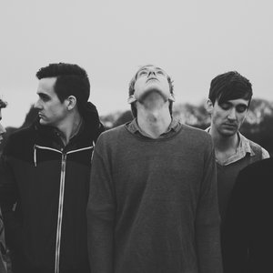 Zdjęcia dla 'Spring Offensive'