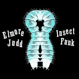 Imagem de 'Insect Funk'