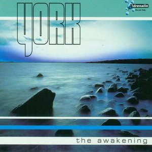 “The Awakening”的封面