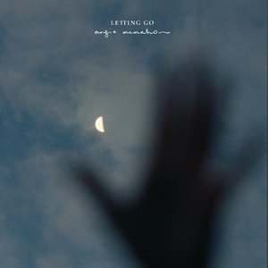 Image for 'Letting Go'