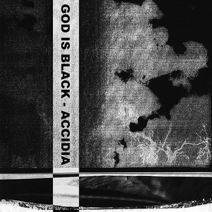 Image for 'Accidia'