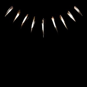 “Black Panther: The Album”的封面