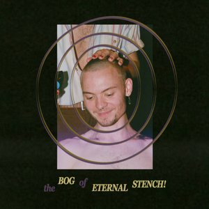 Image for 'The Bog of Eternal Stench'