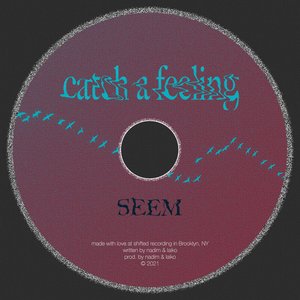 Bild für 'Catch a Feeling'