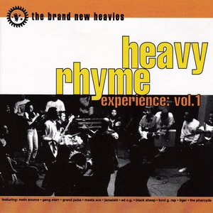 Image for 'Heavy Rhyme Experience Vol. 1'