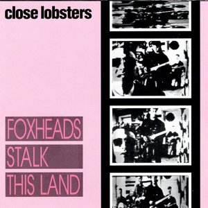 “Foxheads Stalk This Land”的封面