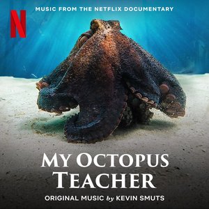 'My Octopus Teacher (Music from the Netflix Documentary)' için resim
