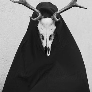 “Deer Skull”的封面