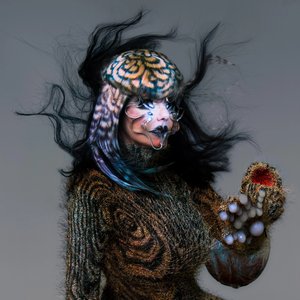 Immagine per 'Björk'