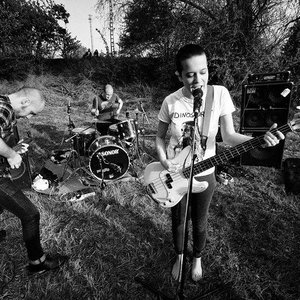 Image for 'Camp Koala'