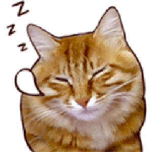 Muzorki