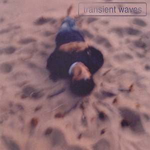 “Transient Waves”的封面