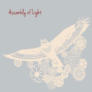 Immagine per 'Assembly Of Light'