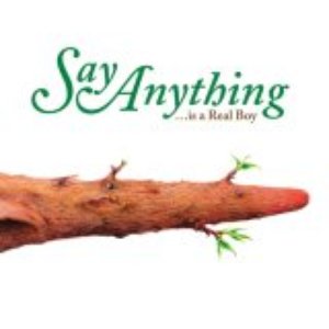 Image for 'Say Anything Is a Real Boy'
