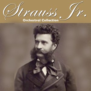 Immagine per 'Strauss II: Orchestral Collection'