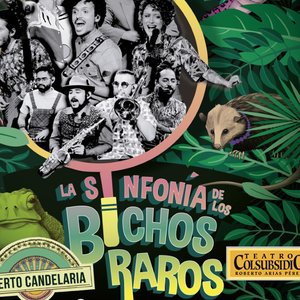 'La Sinfonía de los Bichos Raros'の画像