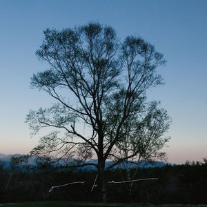 “Orbe / Orbe Feat. Luca”的封面