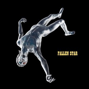 “Fallen Star”的封面
