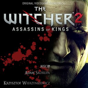 “The Witcher 2: Assassins of Kings”的封面