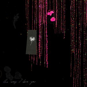 Image for 'The Way I Love You (Remixes)'