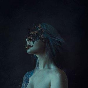Image for 'The Moth Collection'