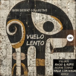 Image for 'Vuelo Lento'