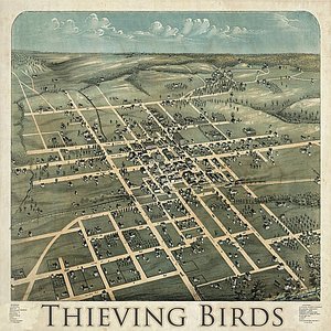 “Thieving Birds”的封面