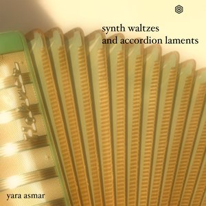 'synth waltzes and accordion laments' için resim