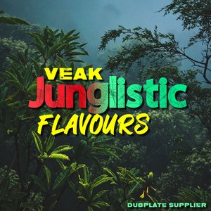 Image for 'Junglistic Flavours'