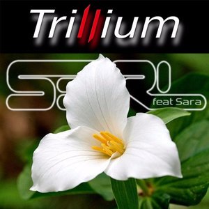Image for 'Trillium (feat. Sara)'