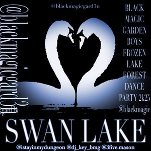 Image for 'Swan Lake'