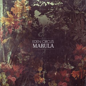 Image for 'Marula'