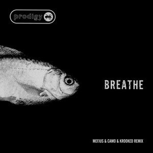Bild för 'Breathe (Mefjus & Camo & Krooked Remix)'