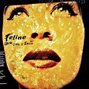 “Save Your Face”的封面