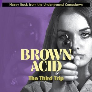 Image for 'Brown Acid - The Third Trip'