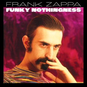 Bild für 'Funky Nothingness'