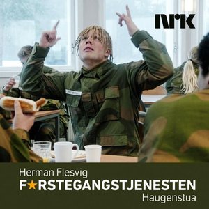 Image for 'Haugenstua'