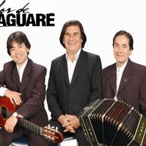 Bild für 'Los de Imaguaré'