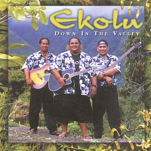 “Down in the Valley”的封面