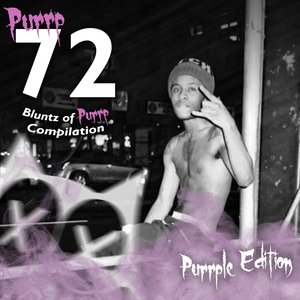 Immagine per '72 Blunts of Purrp: Purrple Edition'