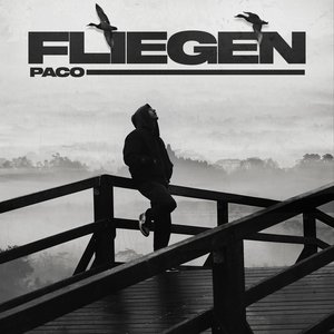 “Fliegen”的封面