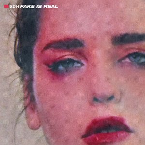 “Fake Is Real”的封面